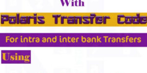 Polaris-Bank-Transfer-Code-300x300.jpeg